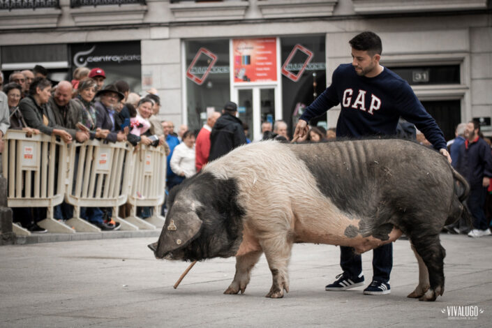 tradicion 2018 014