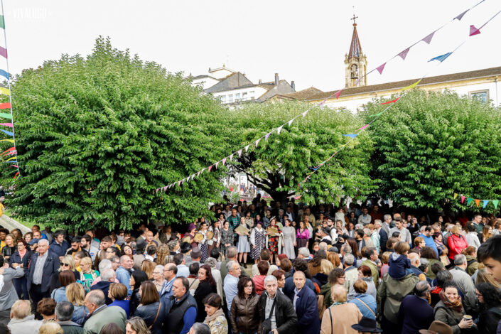 tradicion 2019 027