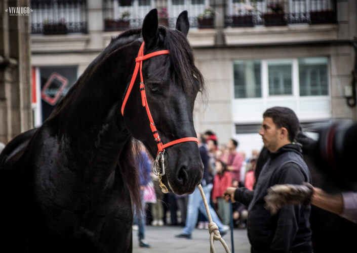 tradicion 2019 084