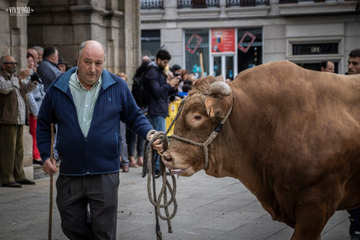 tradicion 2019 085