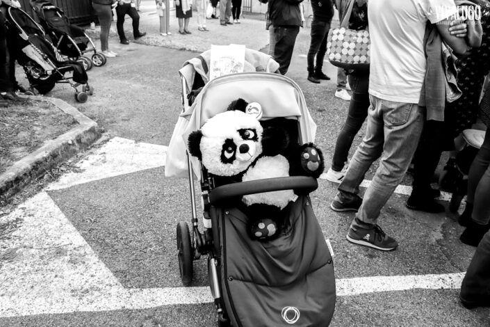 vida na rua 2019 032